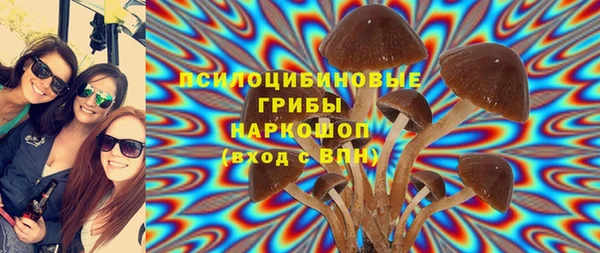 a pvp Бикин
