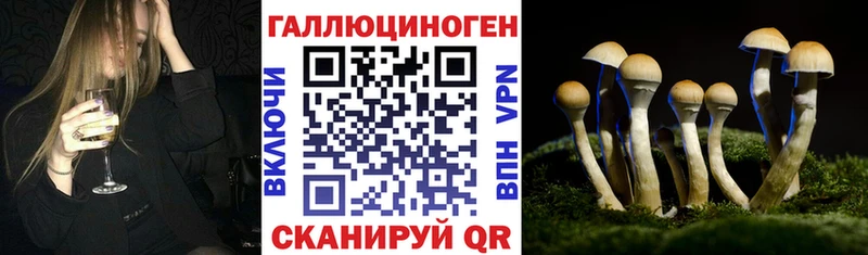 Галлюциногенные грибы Psilocybe Козловка