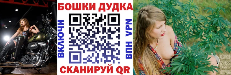Каннабис сатива Козловка